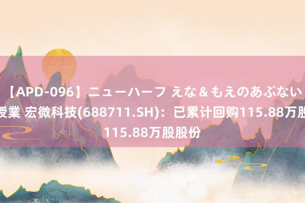 【APD-096】ニューハーフ えな＆もえのあぶない課外授業 宏微科技(688711.SH)：已累计回购115.88万股股份