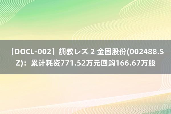 【DOCL-002】調教レズ 2 金固股份(002488.SZ)：累计耗资771.52万元回购166.67万股