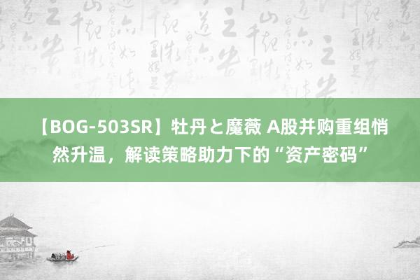 【BOG-503SR】牡丹と魔薇 A股并购重组悄然升温，解读策略助力下的“资产密码”