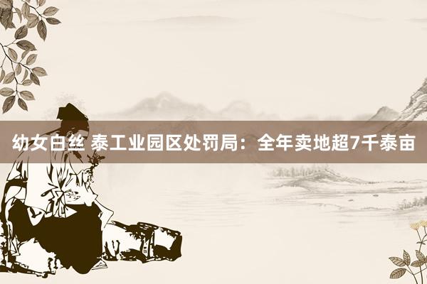 幼女白丝 泰工业园区处罚局：全年卖地超7千泰亩