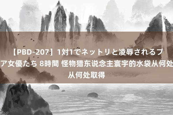 【PBD-207】1対1でネットリと凌辱されるプレミア女優たち 8時間 怪物猎东说念主寰宇的水袋从何处取得