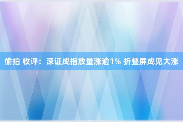 偷拍 收评：深证成指放量涨逾1% 折叠屏成见大涨