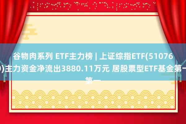 谷物肉系列 ETF主力榜 | 上证综指ETF(510760)主力资金净流出3880.11万元 居股票型ETF基金第一