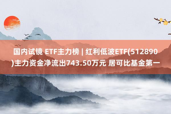 国内试镜 ETF主力榜 | 红利低波ETF(512890)主力资金净流出743.50万元 居可比基金第一