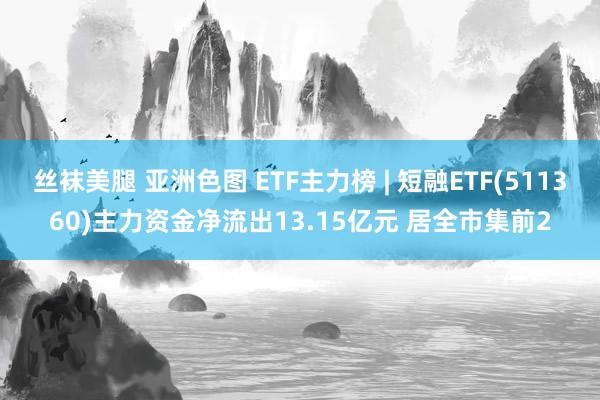 丝袜美腿 亚洲色图 ETF主力榜 | 短融ETF(511360)主力资金净流出13.15亿元 居全市集前2