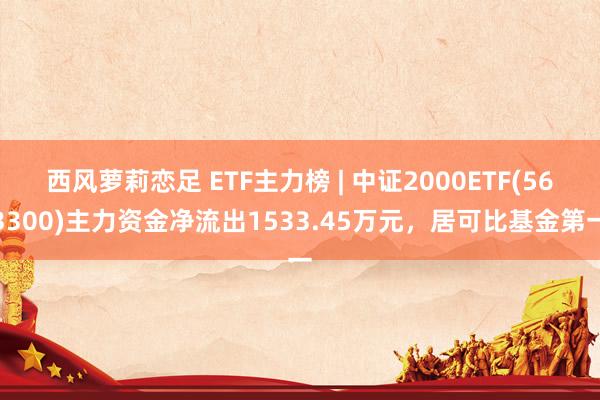 西风萝莉恋足 ETF主力榜 | 中证2000ETF(563300)主力资金净流出1533.45万元，居可比基金第一