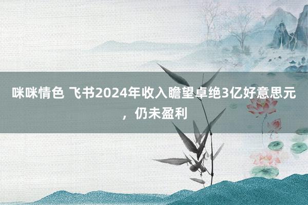 咪咪情色 飞书2024年收入瞻望卓绝3亿好意思元，仍未盈利