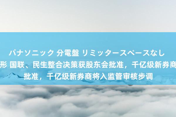 パナソニック 分電盤 リミッタースペースなし 露出・半埋込両用形 国联、民生整合决策获股东会批准，千亿级新券商将入监管审核步调