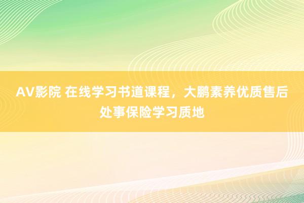 AV影院 在线学习书道课程，大鹏素养优质售后处事保险学习质地