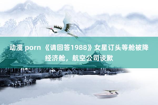 动漫 porn 《请回答1988》女星订头等舱被降经济舱，航空公司谈歉