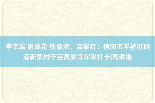 李宗瑞 姐妹花 秋意浓，高粱红！信阳市平桥区明港新集村千亩高粱等你来打卡|高粱地