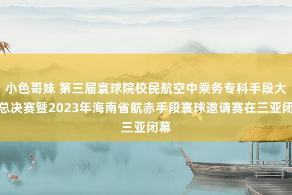 小色哥妹 第三届寰球院校民航空中乘务专科手段大赛总决赛暨2023年海南省航赤手段寰球邀请赛在三亚闭幕